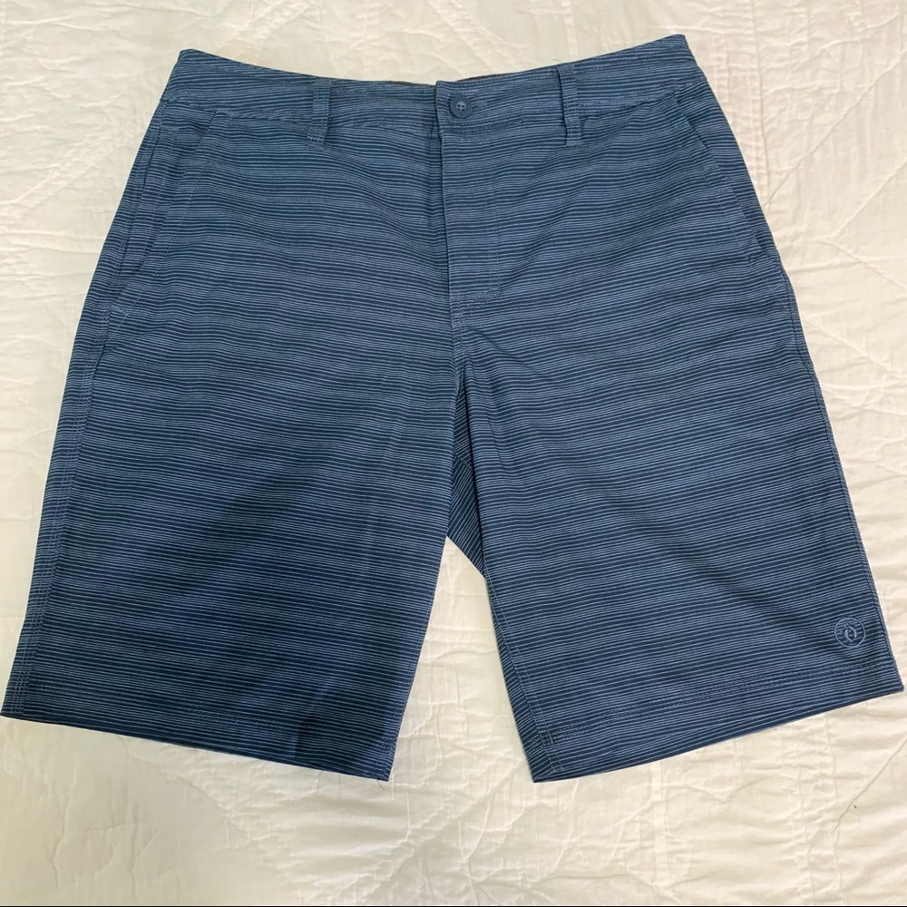 Blue Striped Hybrid Board Swim Short